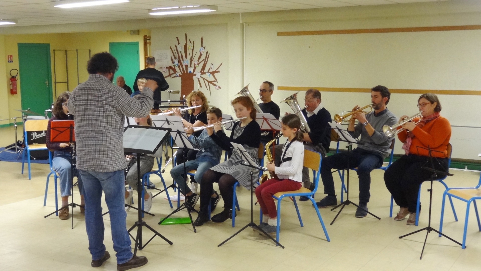 musique,orchestre,concert,école,harmonie,