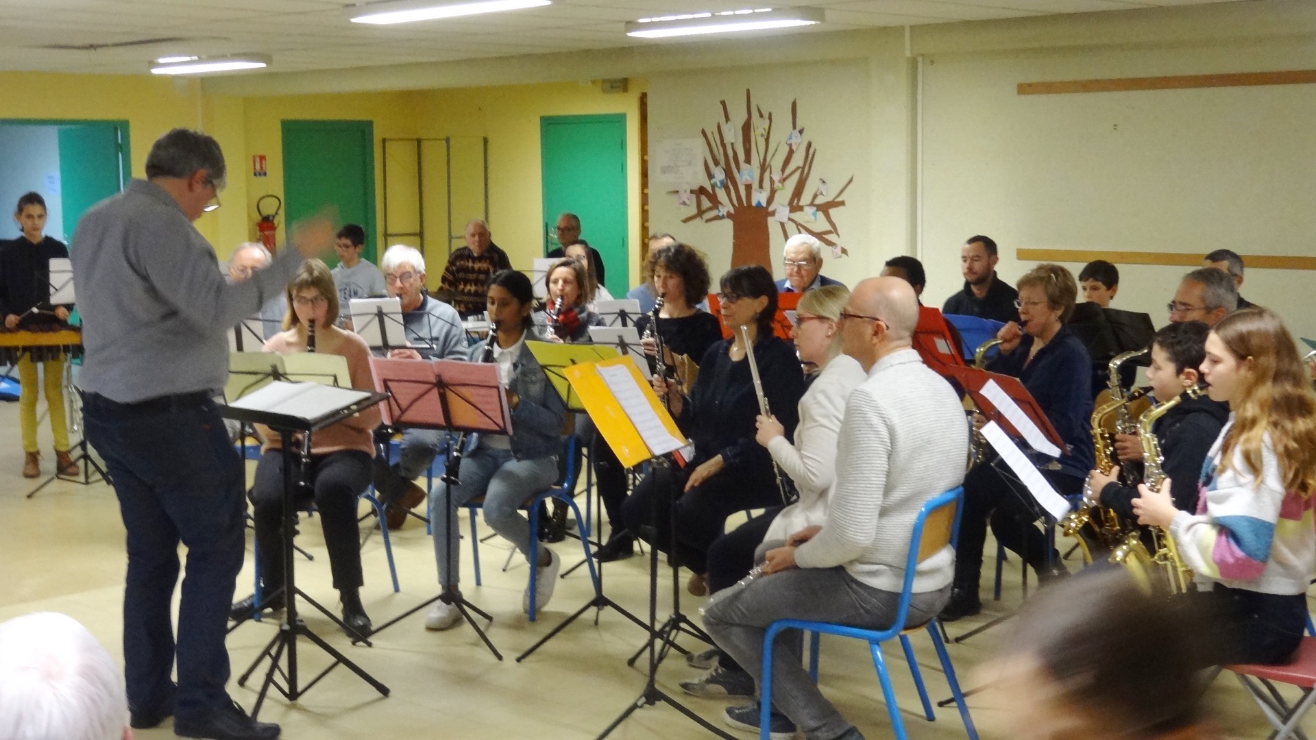 musique,orchestre,concert,école,harmonie,